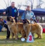 Breeding Couple BIS 3rd place