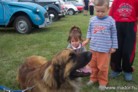 Mador the therapy dog with veteran cars