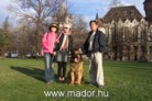 Mador in City park loved by Chinese tourists